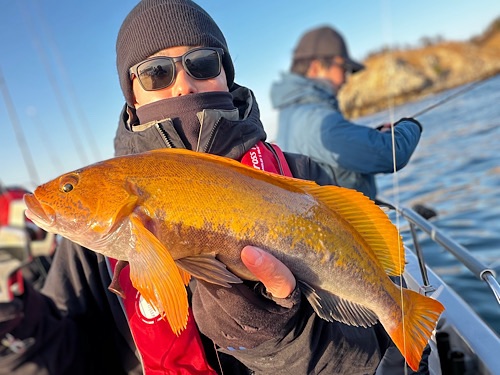ロックポート26.5㎝新品9/6迄お値下げ！ 楽天市場】【ROCKPORT】 ロックポート ZADEN PLAIN TOE LEA ゼイデン